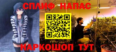 прущие крисы Азнакаево
