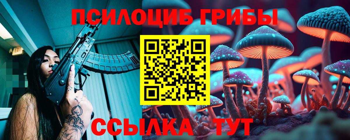 Галлюциногенные грибы GOLDEN TEACHER  Вход с VPN  Галлюциногенные грибы GOLDEN TEACHER  Абакан 